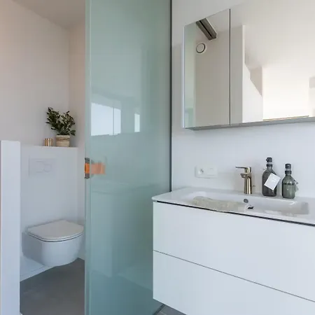 Pauwze Apartman Ostende